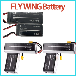 Rc Helicopter Bag - Baterai LiPo FLY WING FW450 FW450L